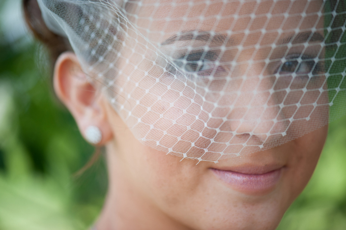 Birdcage veil